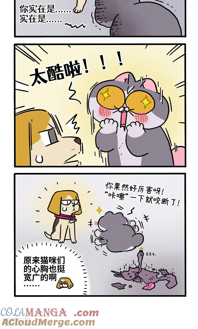 第128话2关于猫狗是怎么相识的-阿满和麦茶-新漫画 日胖大海寺（第4张）