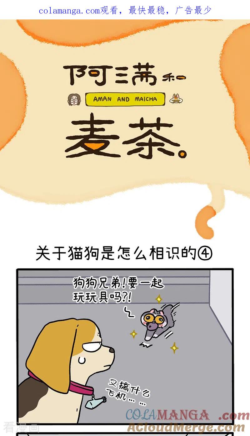 第128话2关于猫狗是怎么相识的-阿满和麦茶-新漫画 日胖大海寺（第1张）