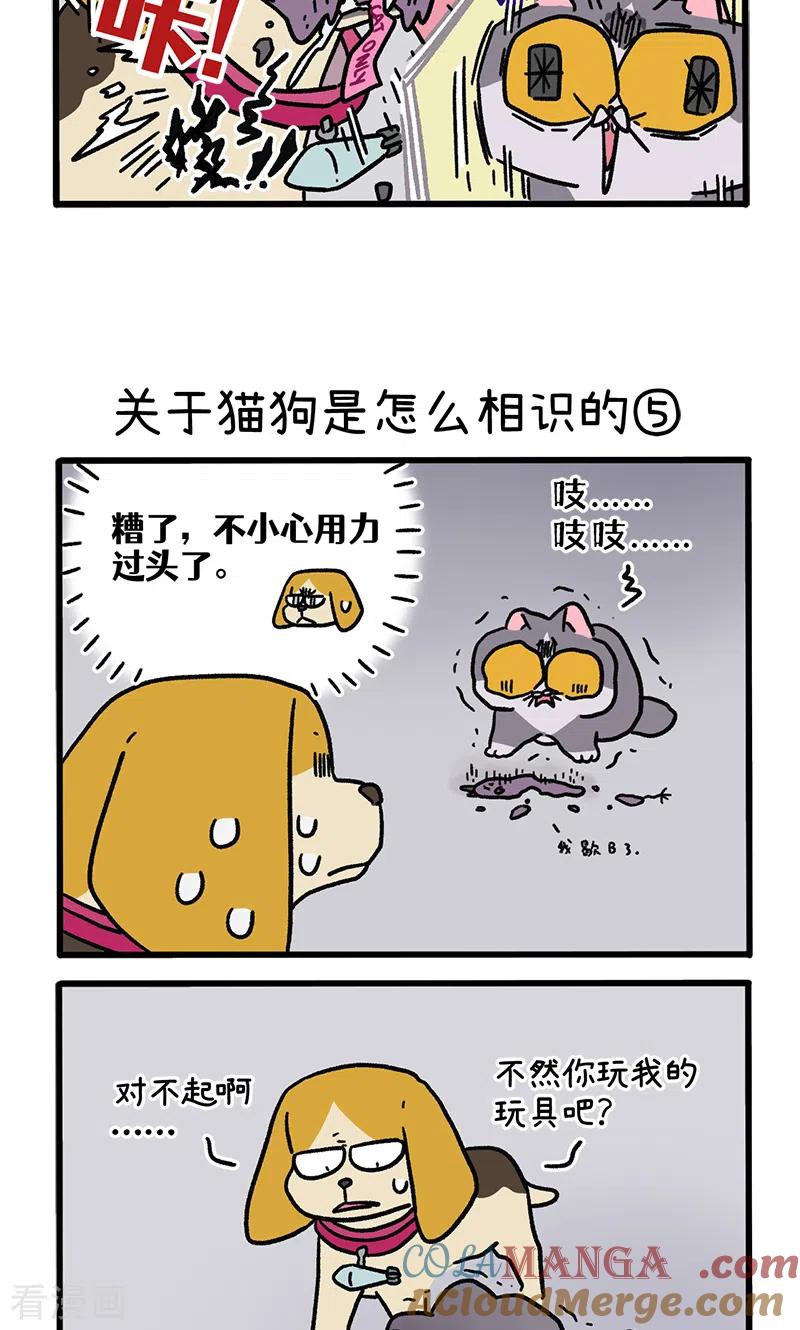 第128话2关于猫狗是怎么相识的-阿满和麦茶-新漫画 日胖大海寺（第3张）
