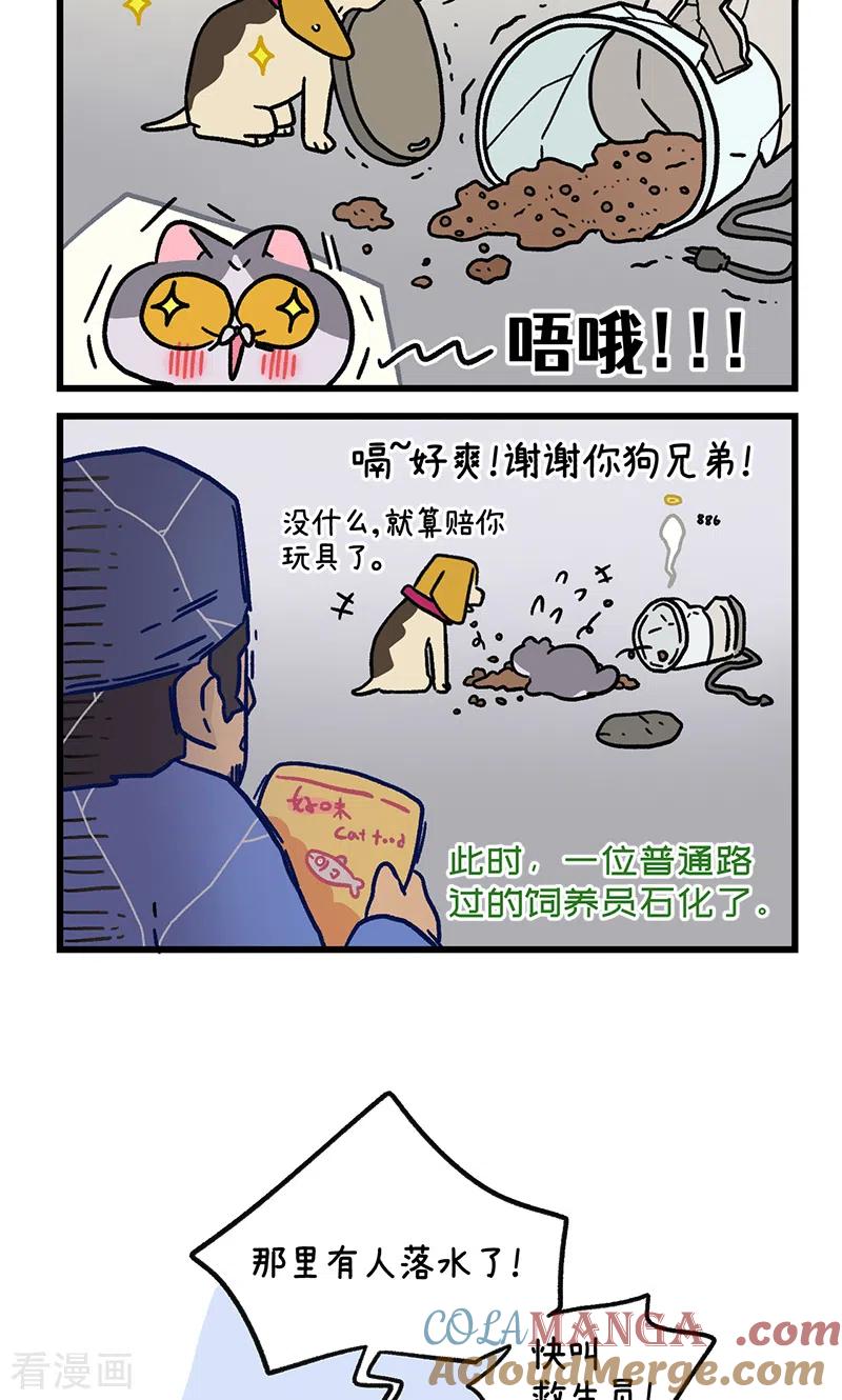 第128话2关于猫狗是怎么相识的-阿满和麦茶-新漫画 日胖大海寺（第6张）