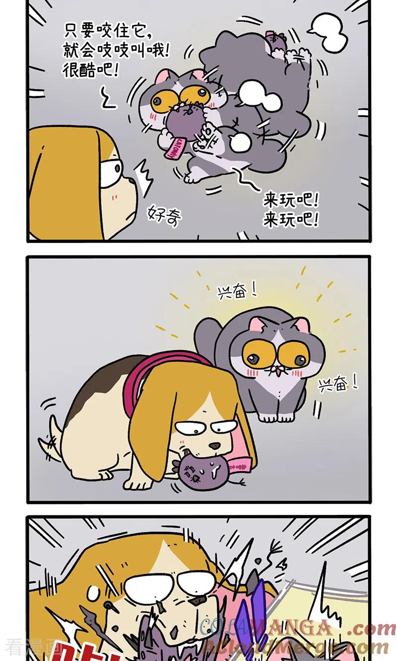 第128话2关于猫狗是怎么相识的-阿满和麦茶-新漫画 日胖大海寺（第2张）