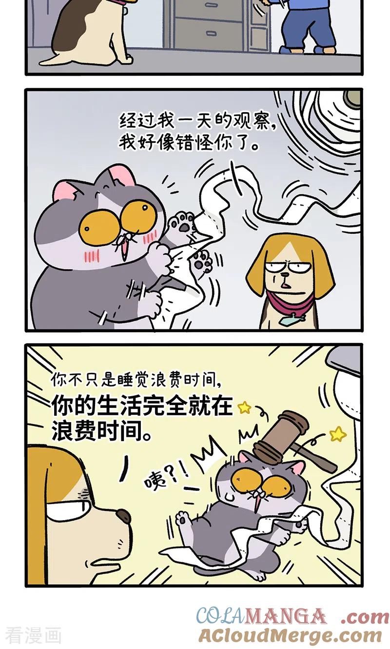 第129话1关于猫狗是怎么相处的-阿满和麦茶-新漫画 日胖大海寺（第4张）