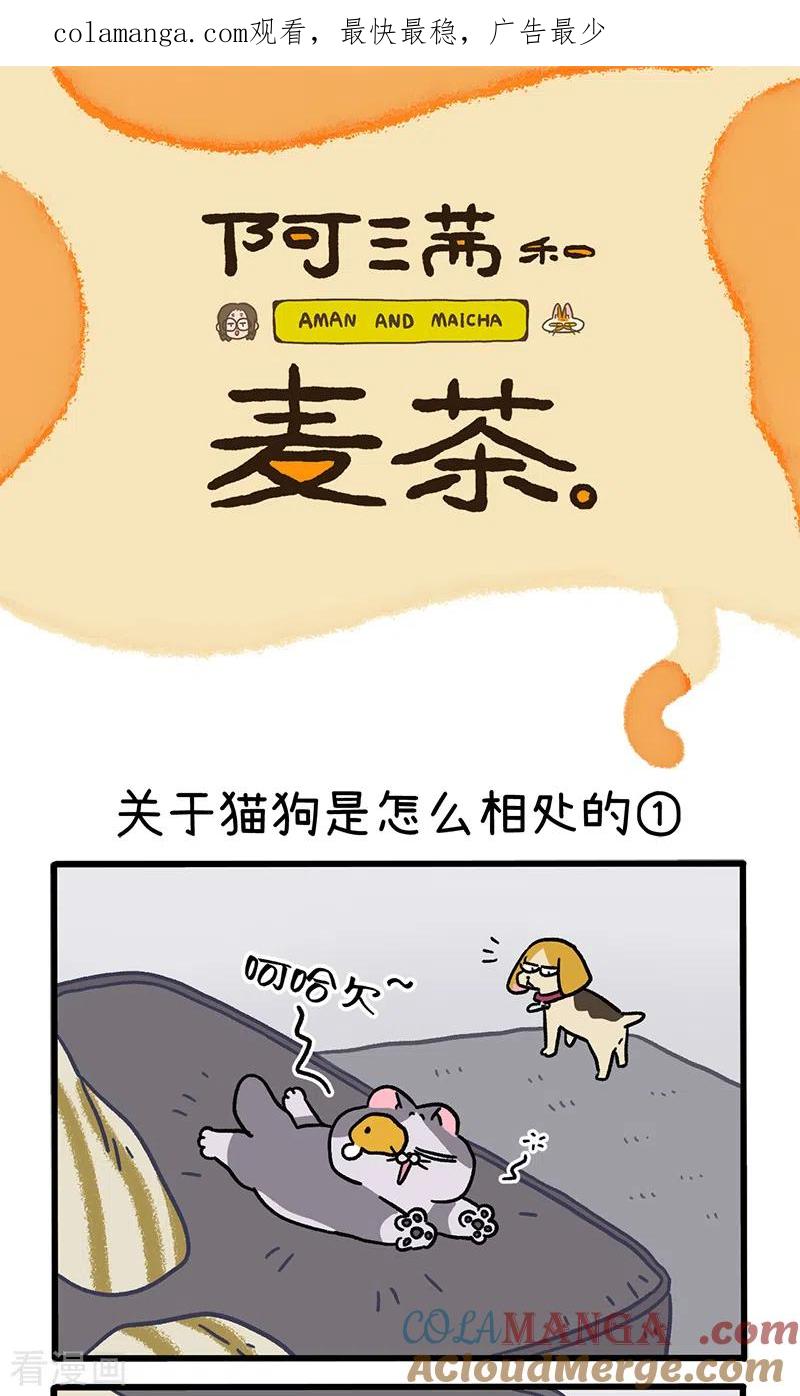 第129话1关于猫狗是怎么相处的-阿满和麦茶-新漫画 日胖大海寺（第1张）