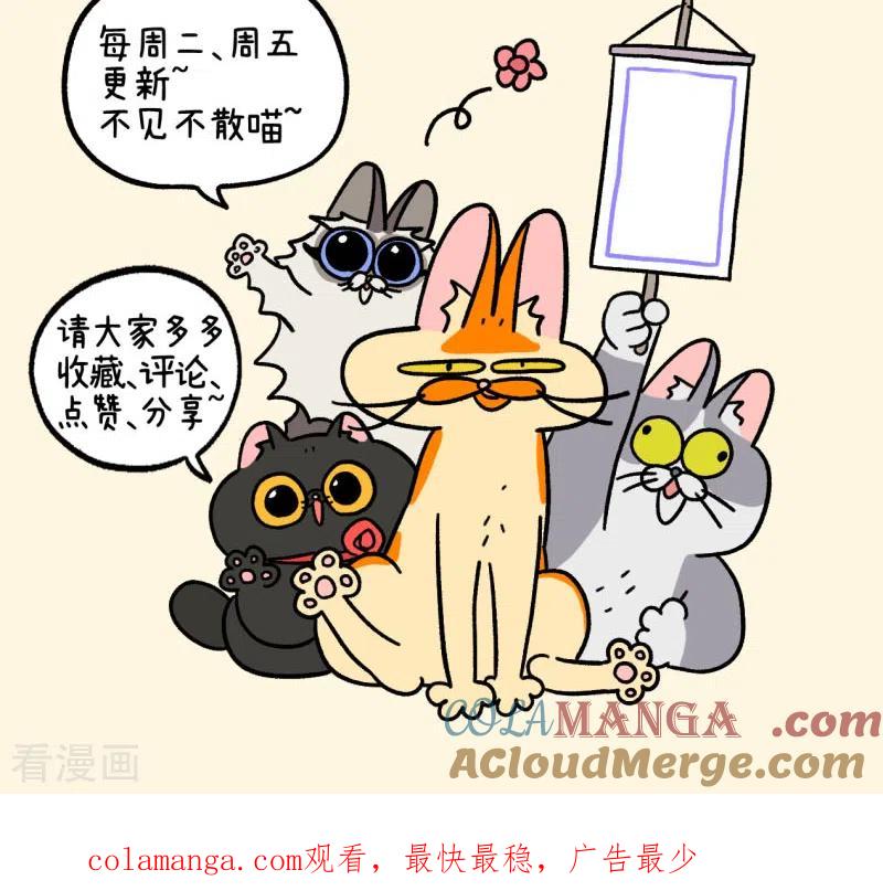第129话1关于猫狗是怎么相处的-阿满和麦茶-新漫画 日胖大海寺（第8张）