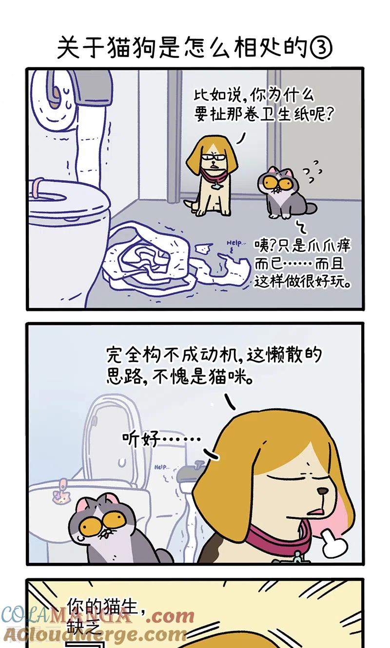 第129话1关于猫狗是怎么相处的-阿满和麦茶-新漫画 日胖大海寺（第5张）