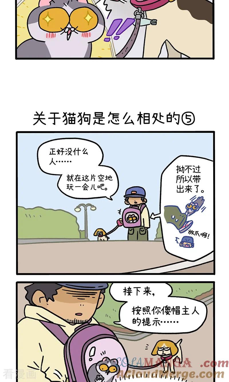 第129话2关于猫狗是怎么相处的-阿满和麦茶-新漫画 日胖大海寺（第3张）