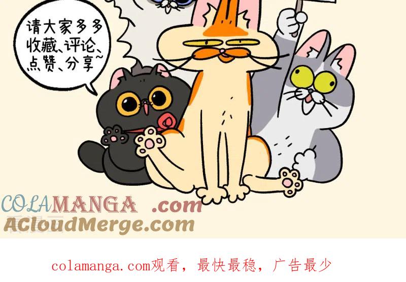 第129话2关于猫狗是怎么相处的-阿满和麦茶-新漫画 日胖大海寺（第9张）