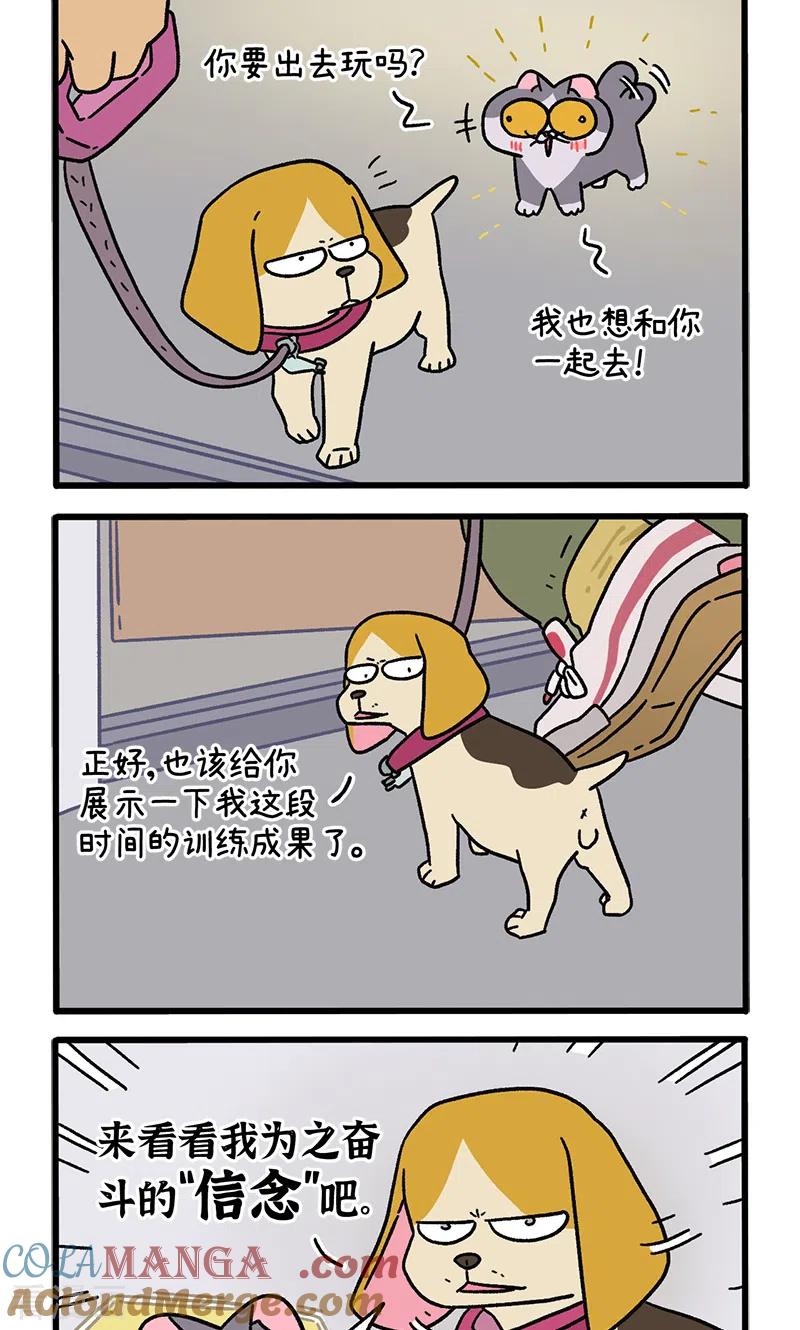 第129话2关于猫狗是怎么相处的-阿满和麦茶-新漫画 日胖大海寺（第2张）