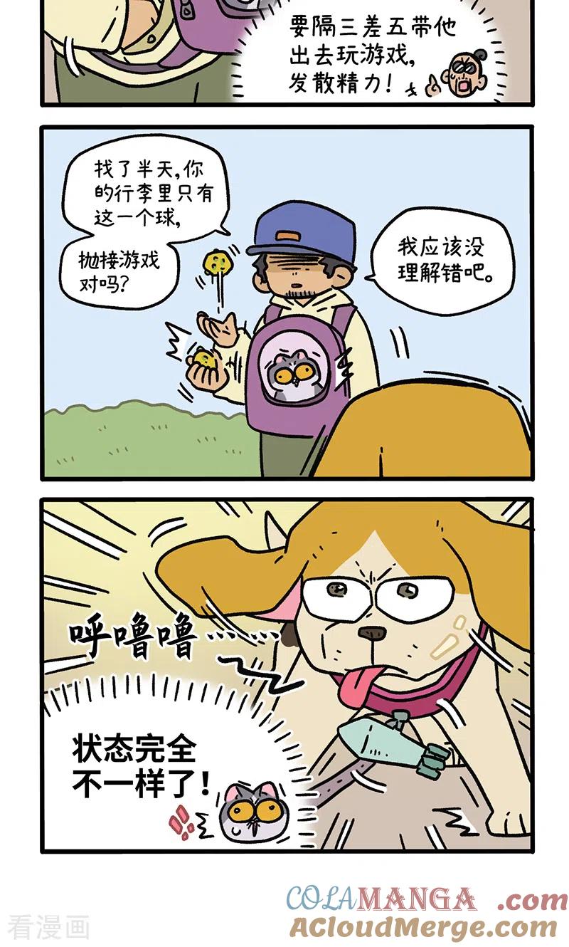 第129话2关于猫狗是怎么相处的-阿满和麦茶-新漫画 日胖大海寺（第4张）
