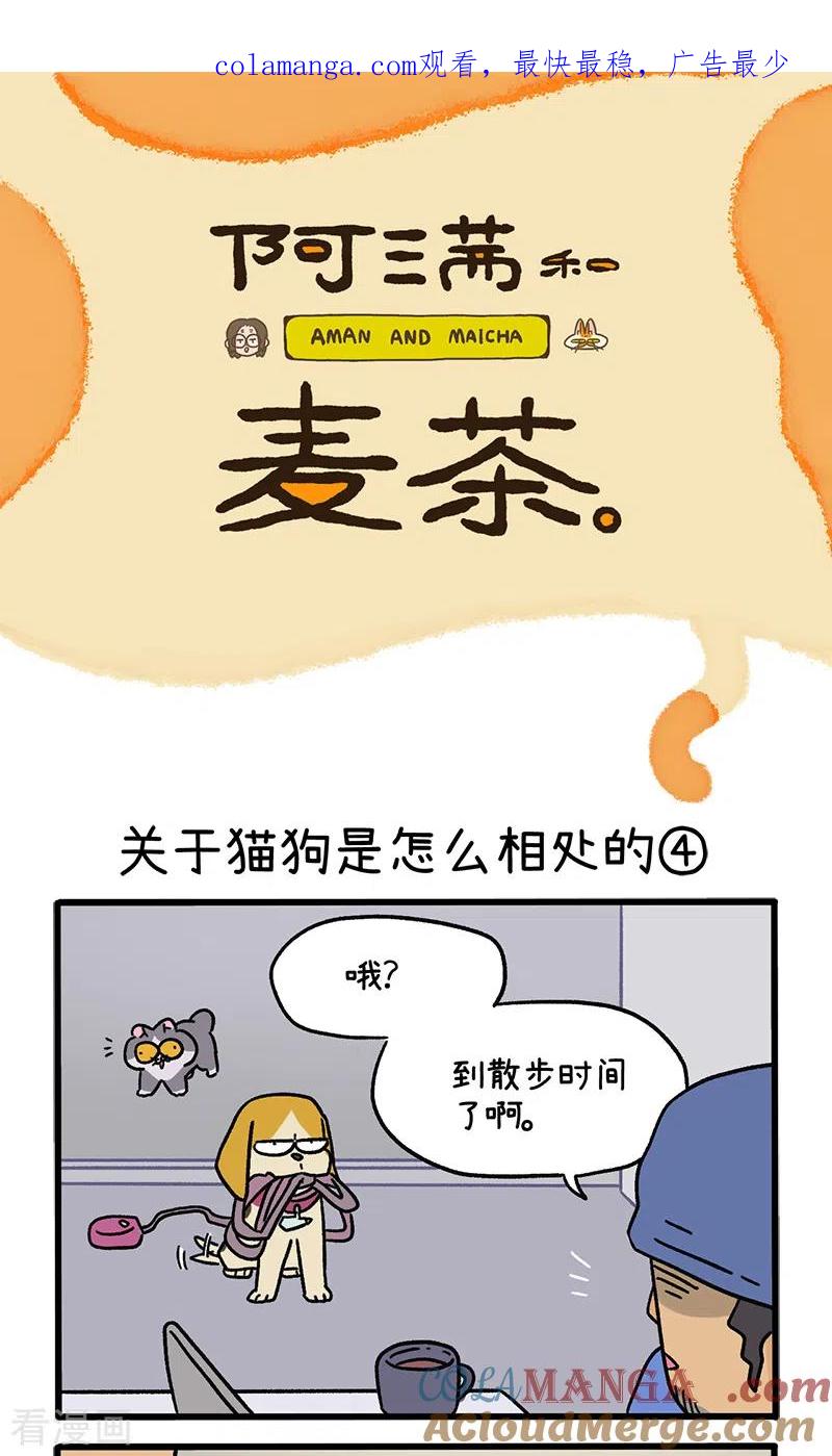 第129话2关于猫狗是怎么相处的-阿满和麦茶-新漫画 日胖大海寺（第1张）