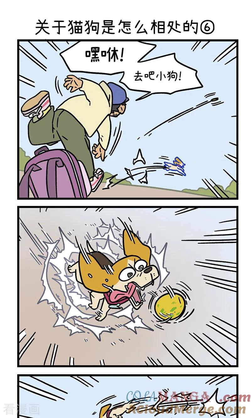 第129话2关于猫狗是怎么相处的-阿满和麦茶-新漫画 日胖大海寺（第5张）
