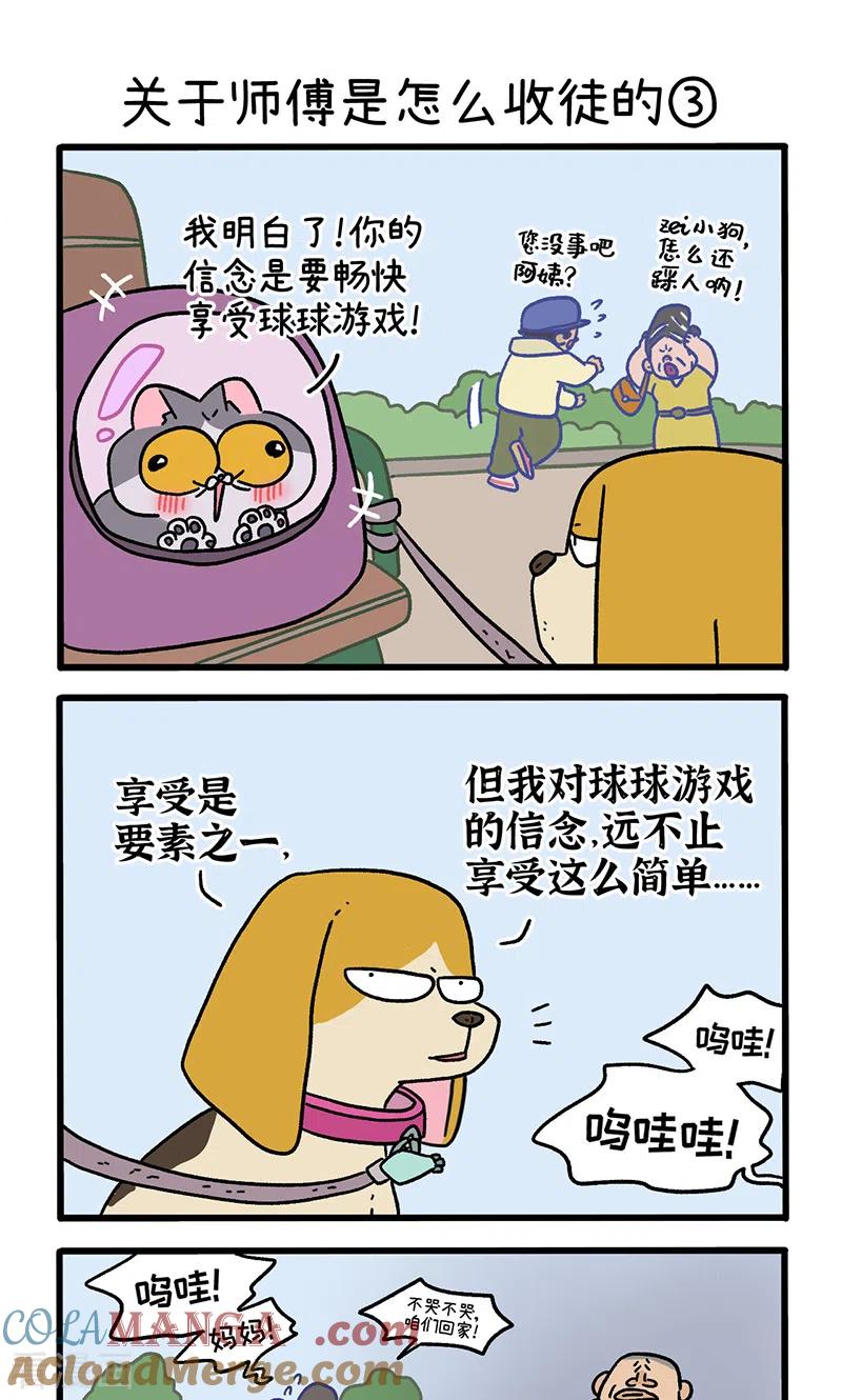 第130话1关于师傅是怎么收徒的-阿满和麦茶-新漫画 日胖大海寺（第5张）