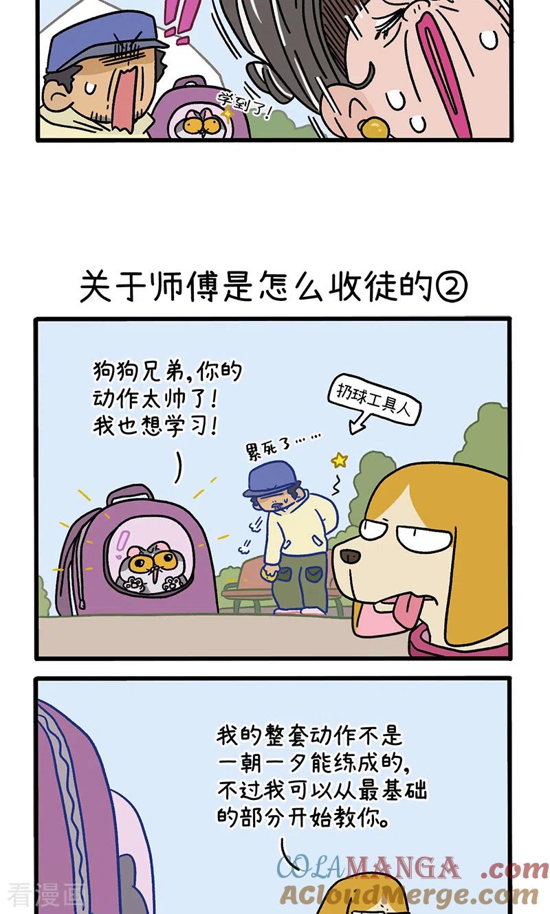 第130话1关于师傅是怎么收徒的-阿满和麦茶-新漫画 日胖大海寺（第3张）