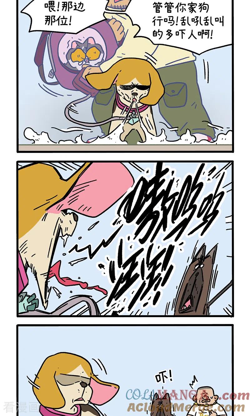 第130话2关于师傅是怎么收徒的-阿满和麦茶-新漫画 日胖大海寺（第2张）