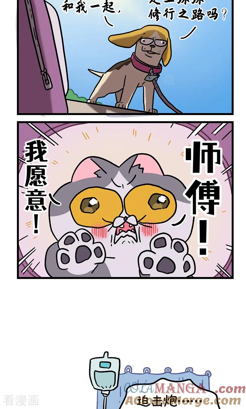 第130话2关于师傅是怎么收徒的-阿满和麦茶-新漫画 日胖大海寺（第6张）