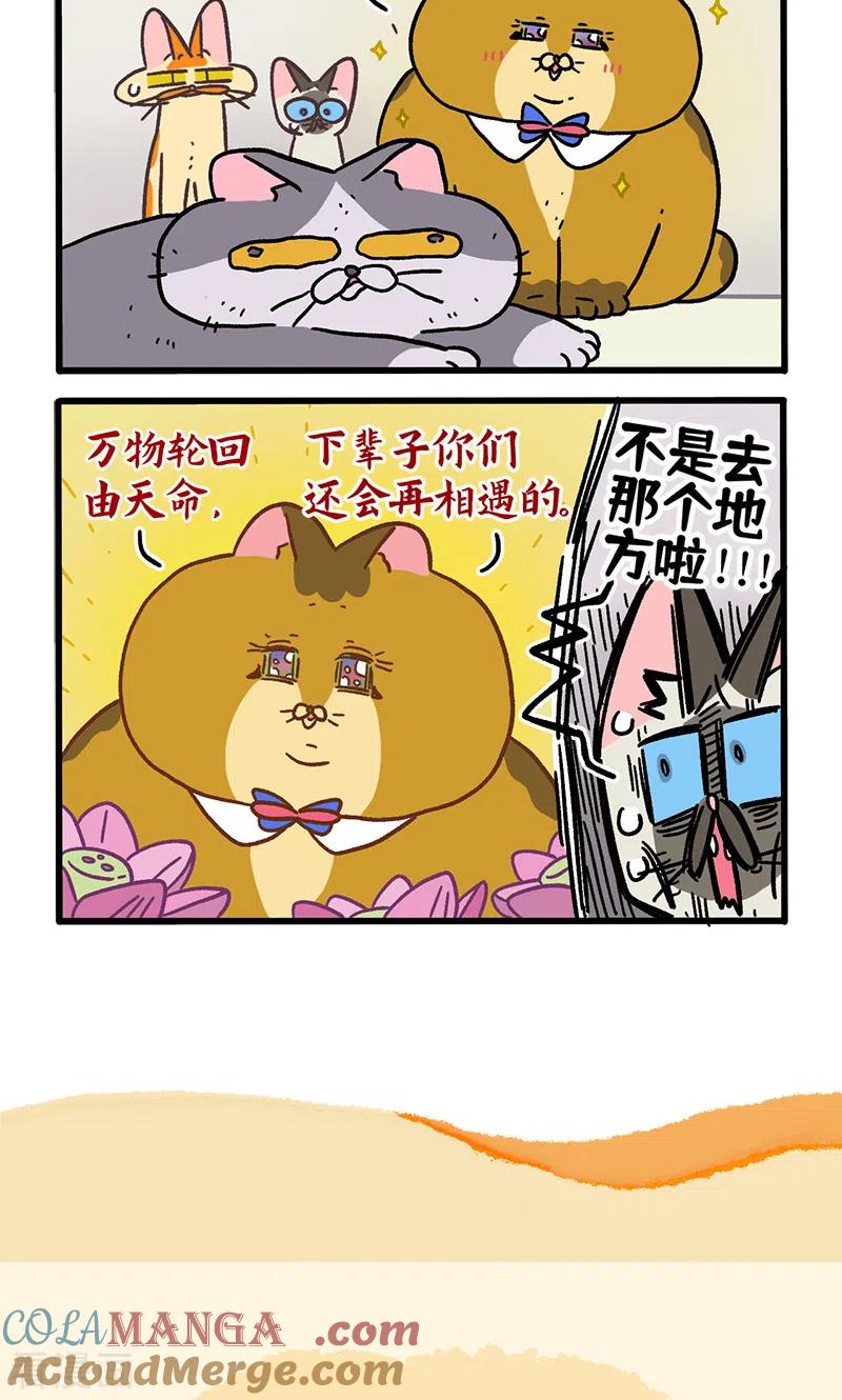 第131话1阿狗！站起来！-阿满和麦茶-新漫画 日胖大海寺（第6张）