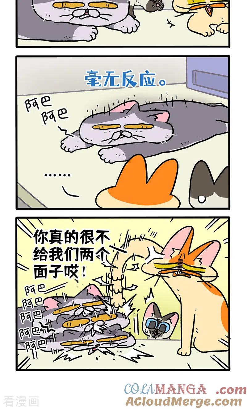 第131话1阿狗！站起来！-阿满和麦茶-新漫画 日胖大海寺（第4张）