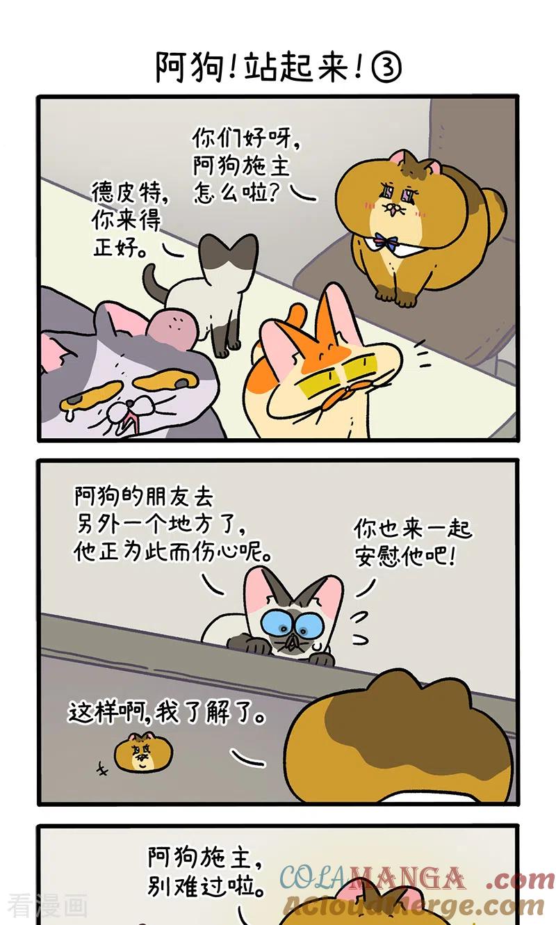 第131话1阿狗！站起来！-阿满和麦茶-新漫画 日胖大海寺（第5张）