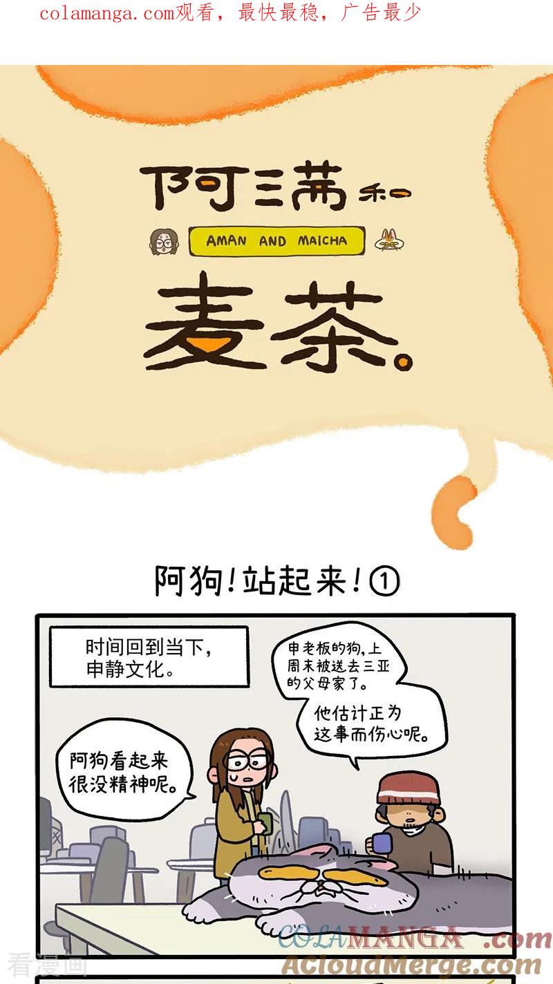 第131话1阿狗！站起来！-阿满和麦茶-新漫画 日胖大海寺（第1张）
