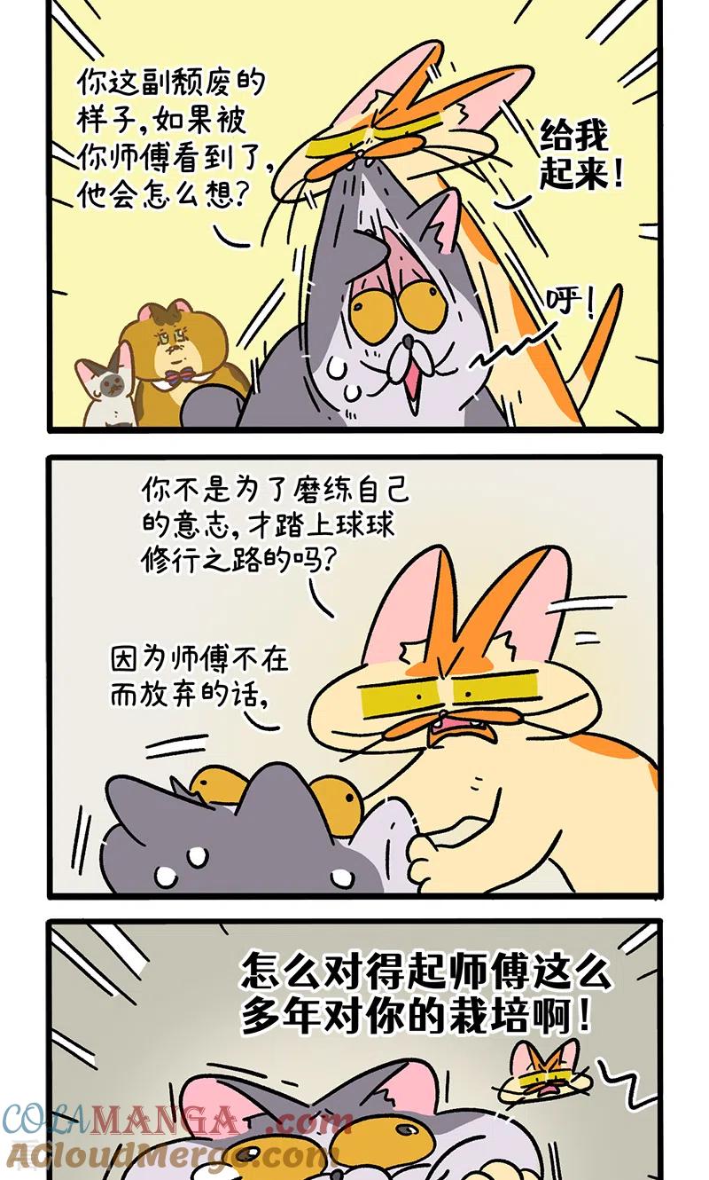 第131话2阿狗！站起来！-阿满和麦茶-新漫画 日胖大海寺（第2张）