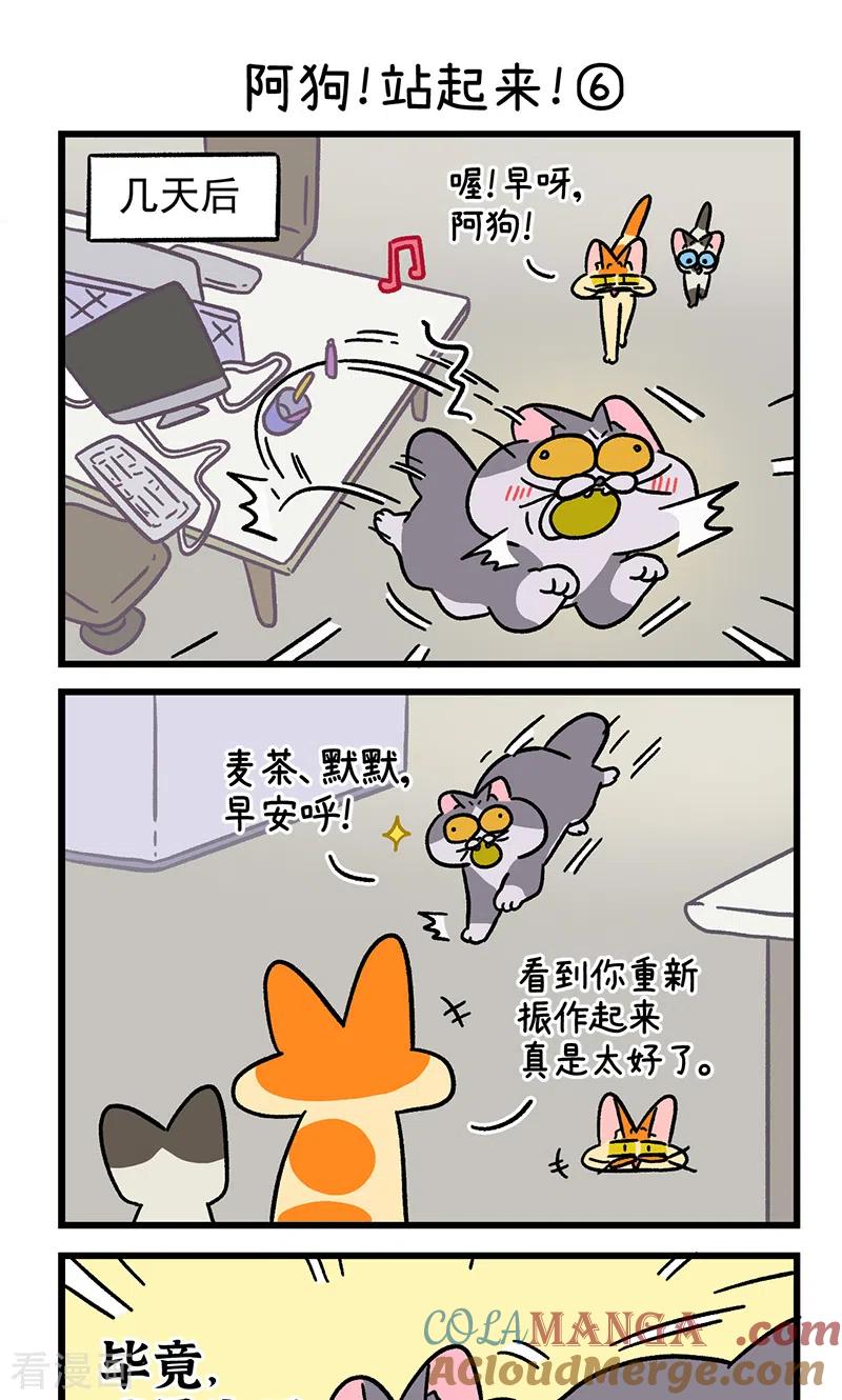 第131话2阿狗！站起来！-阿满和麦茶-新漫画 日胖大海寺（第5张）