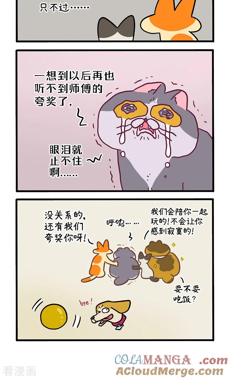 第131话2阿狗！站起来！-阿满和麦茶-新漫画 日胖大海寺（第4张）
