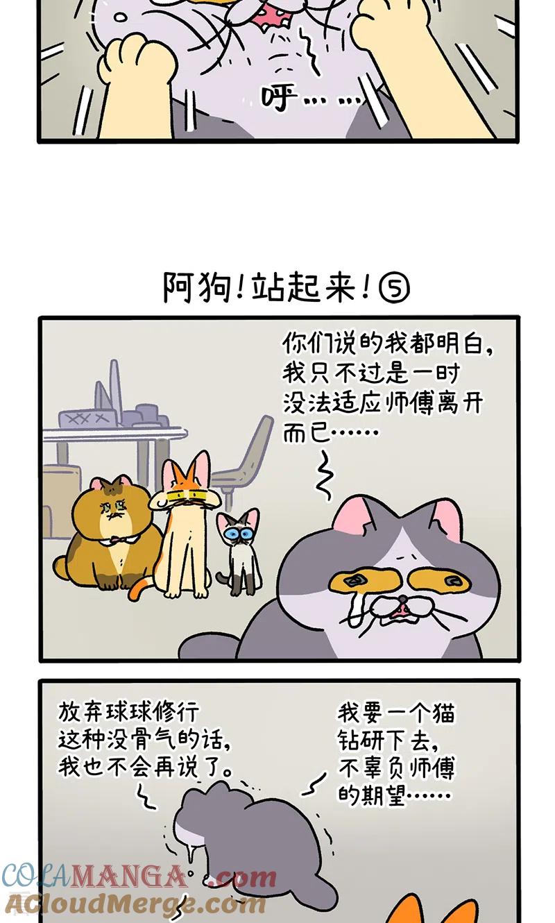 第131话2阿狗！站起来！-阿满和麦茶-新漫画 日胖大海寺（第3张）