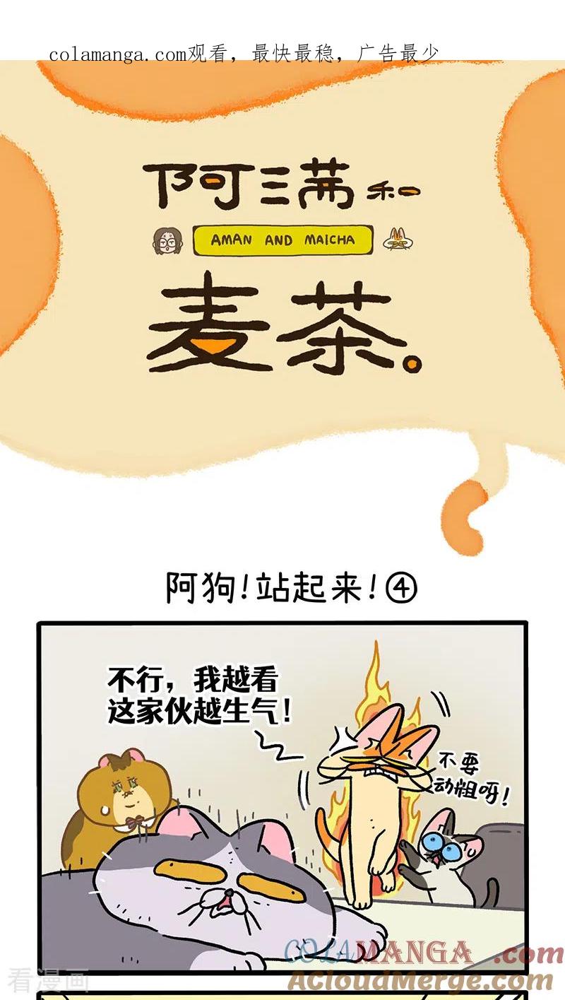 第131话2阿狗！站起来！-阿满和麦茶-新漫画 日胖大海寺（第1张）