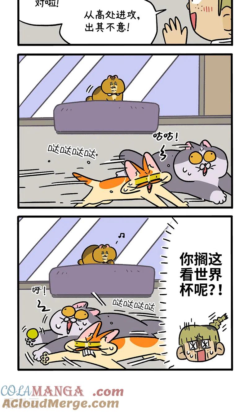 第133话2德皮特减肥记2-阿满和麦茶-新漫画 日胖大海寺（第4张）