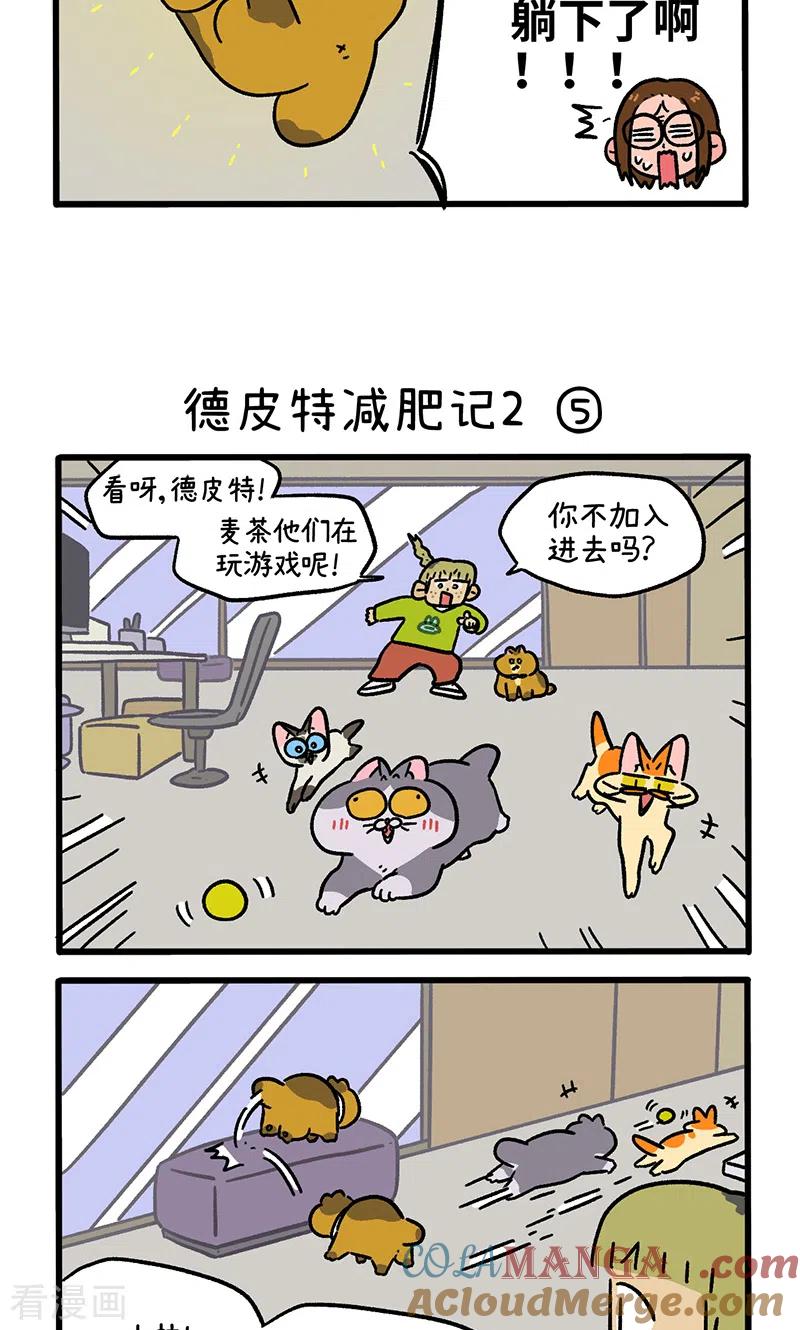 第133话2德皮特减肥记2-阿满和麦茶-新漫画 日胖大海寺（第3张）