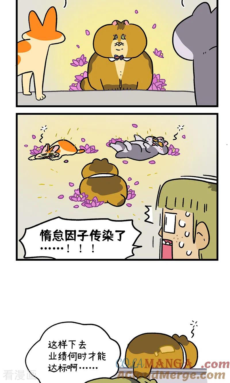 第133话2德皮特减肥记2-阿满和麦茶-新漫画 日胖大海寺（第6张）