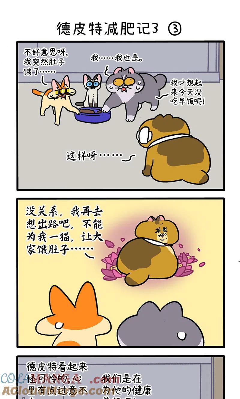 第134话1德皮特减肥记3-阿满和麦茶-新漫画 日胖大海寺（第5张）