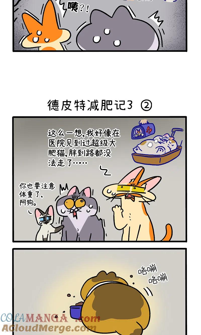 第134话1德皮特减肥记3-阿满和麦茶-新漫画 日胖大海寺（第3张）