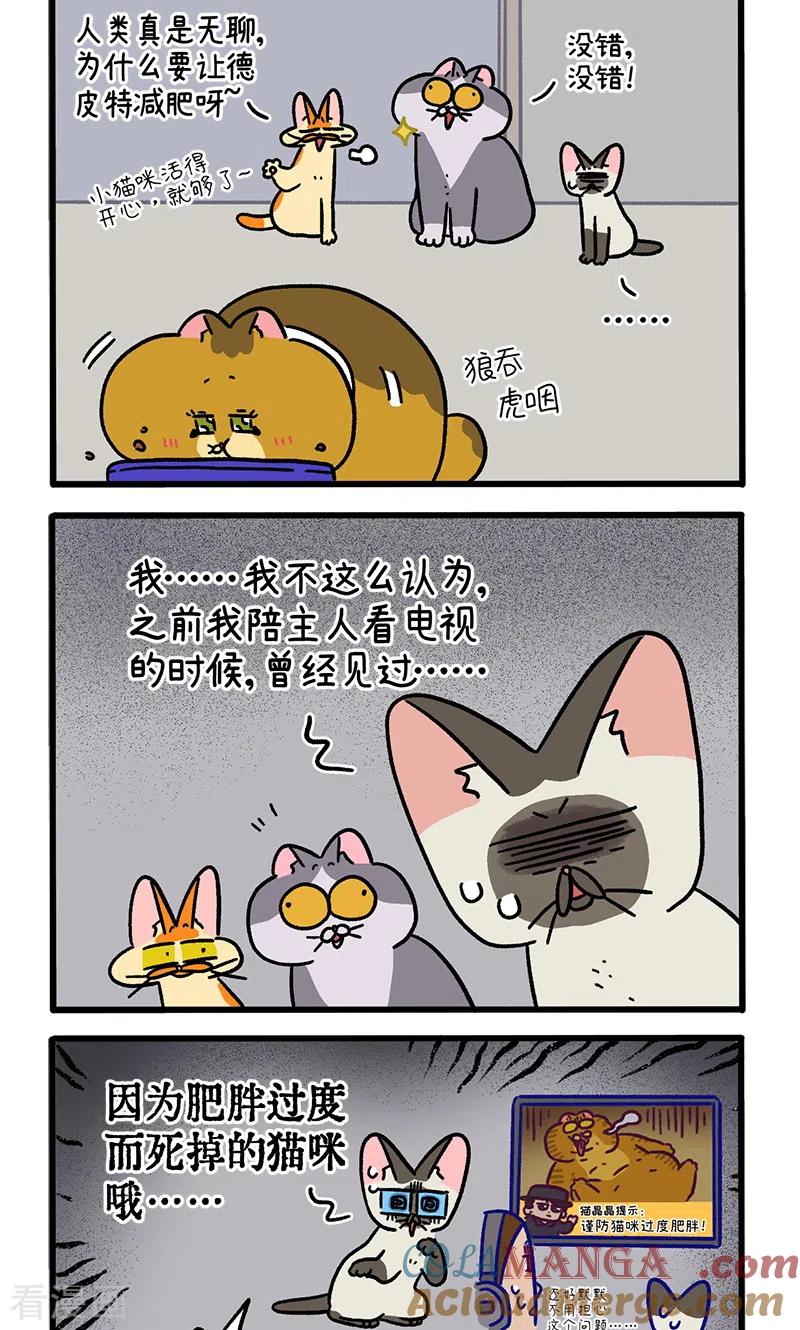 第134话1德皮特减肥记3-阿满和麦茶-新漫画 日胖大海寺（第2张）