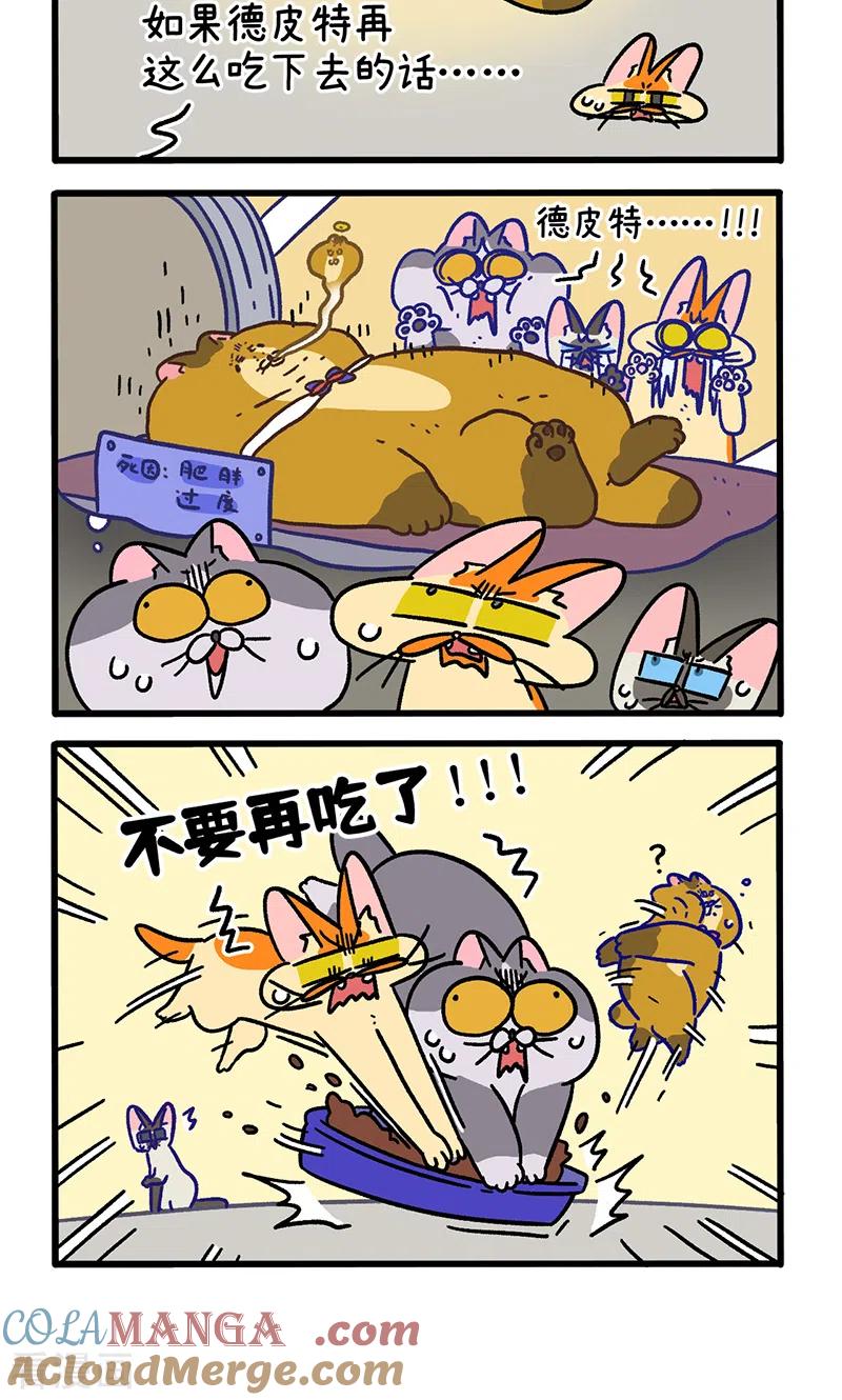 第134话1德皮特减肥记3-阿满和麦茶-新漫画 日胖大海寺（第4张）