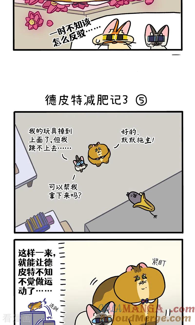 第134话2德皮特减肥记3-阿满和麦茶-新漫画 日胖大海寺（第3张）