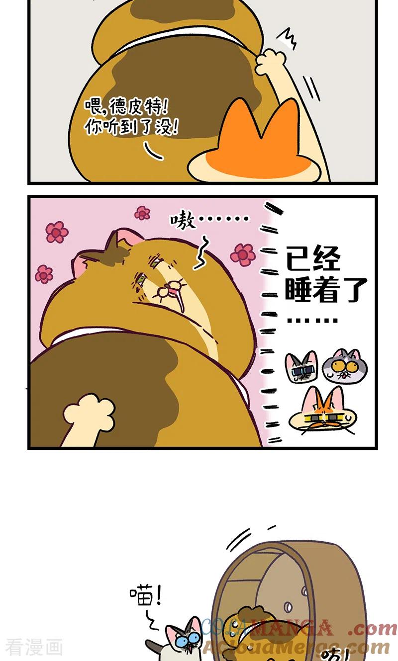 第134话2德皮特减肥记3-阿满和麦茶-新漫画 日胖大海寺（第6张）