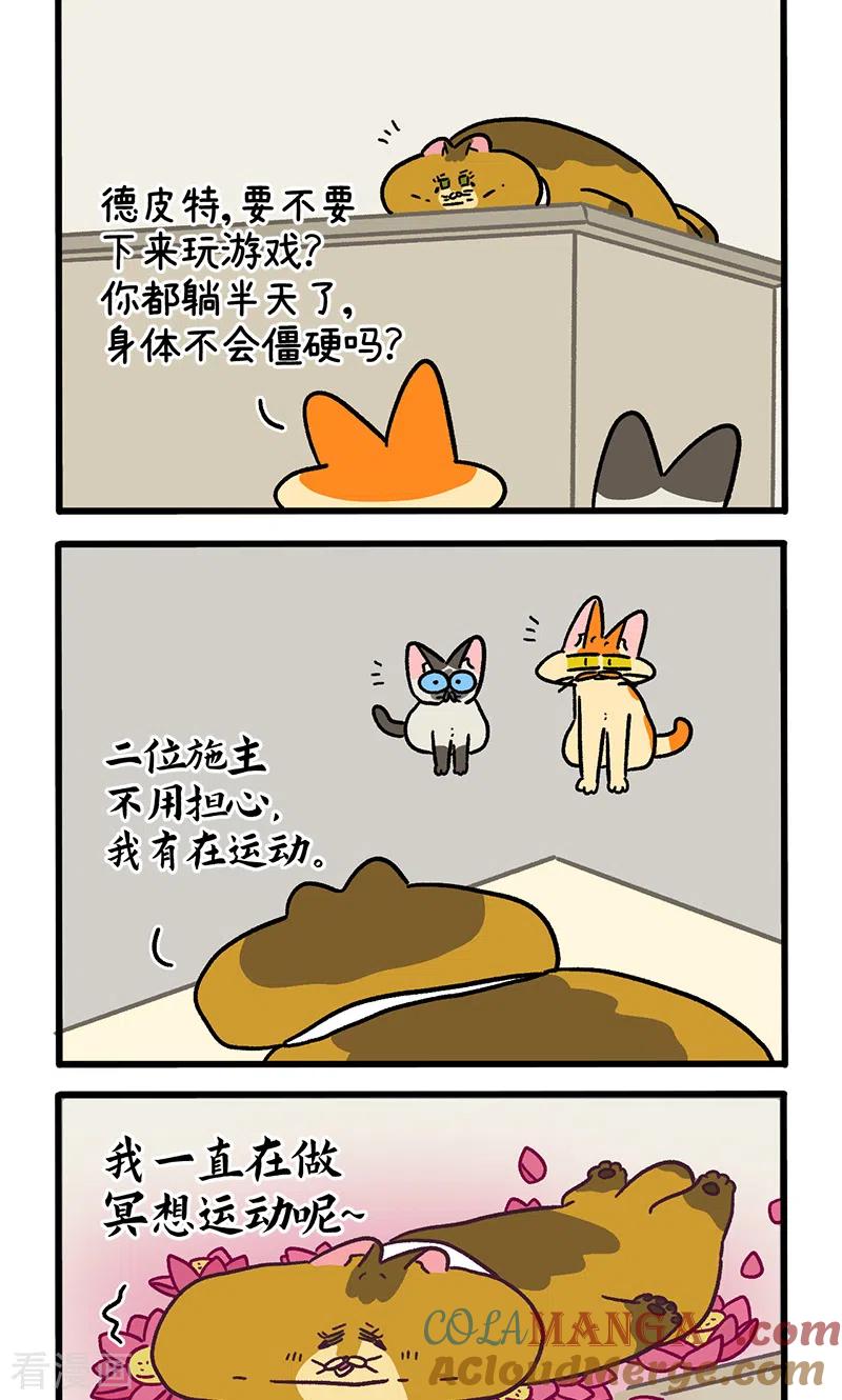 第134话2德皮特减肥记3-阿满和麦茶-新漫画 日胖大海寺（第2张）