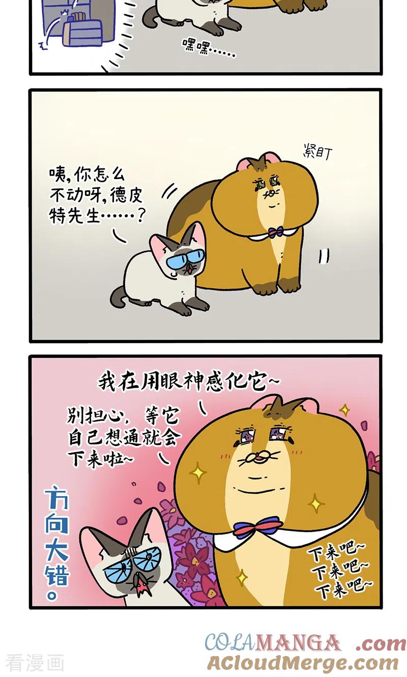 第134话2德皮特减肥记3-阿满和麦茶-新漫画 日胖大海寺（第4张）