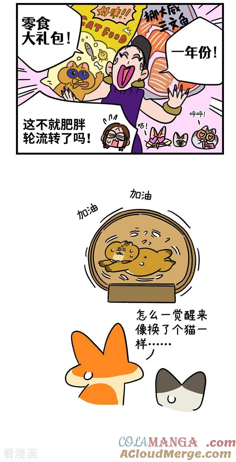 第135话2德皮特减肥记4-阿满和麦茶-新漫画 日胖大海寺（第5张）