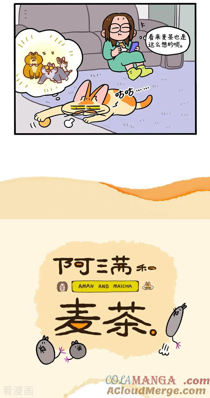 第136话1年假-阿满和麦茶-新漫画 日胖大海寺（第5张）