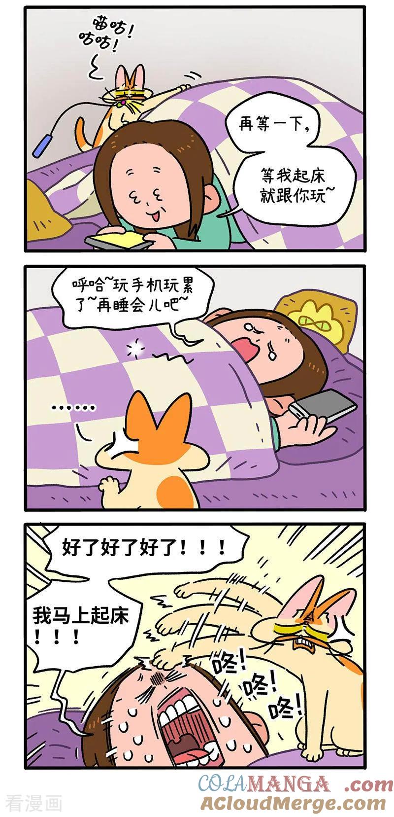 第136话1年假-阿满和麦茶-新漫画 日胖大海寺（第3张）