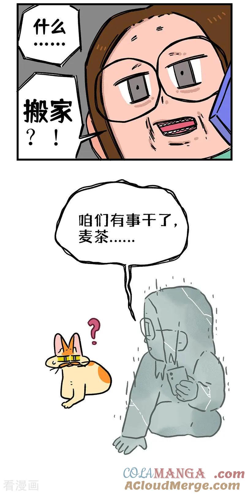 第136话2年假-阿满和麦茶-新漫画 日胖大海寺（第5张）