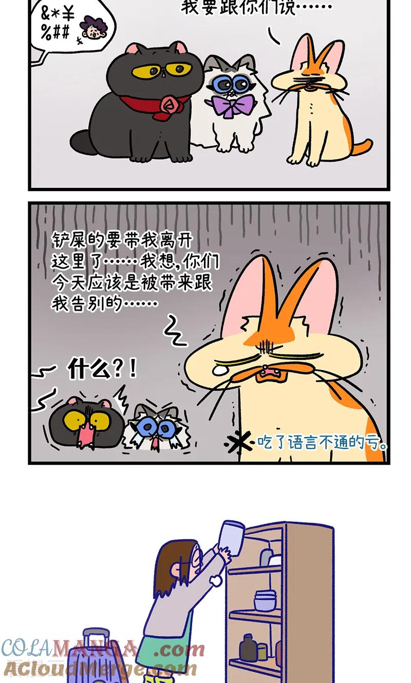 第137话2搬家-阿满和麦茶-新漫画 日胖大海寺（第6张）