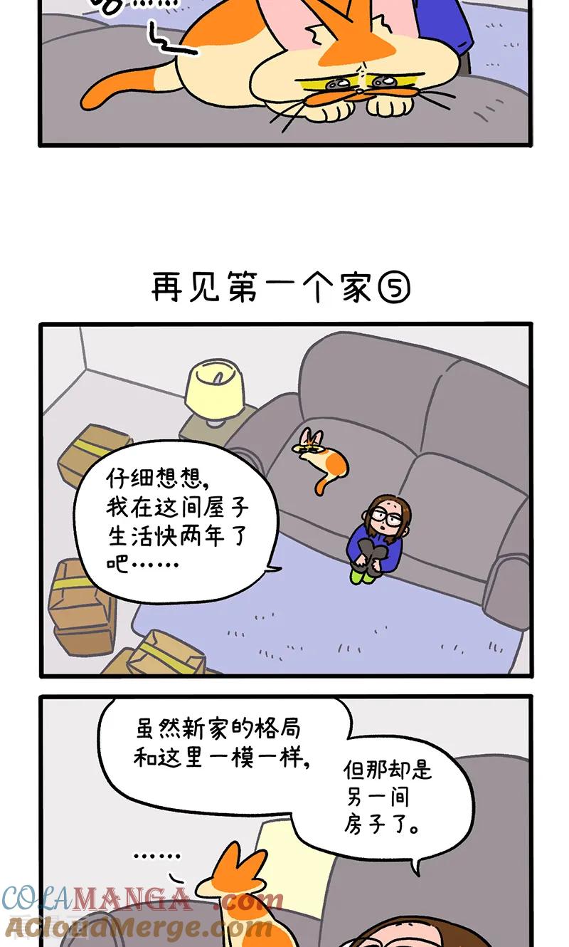 第138话2再见第一个家-阿满和麦茶-新漫画 日胖大海寺（第3张）