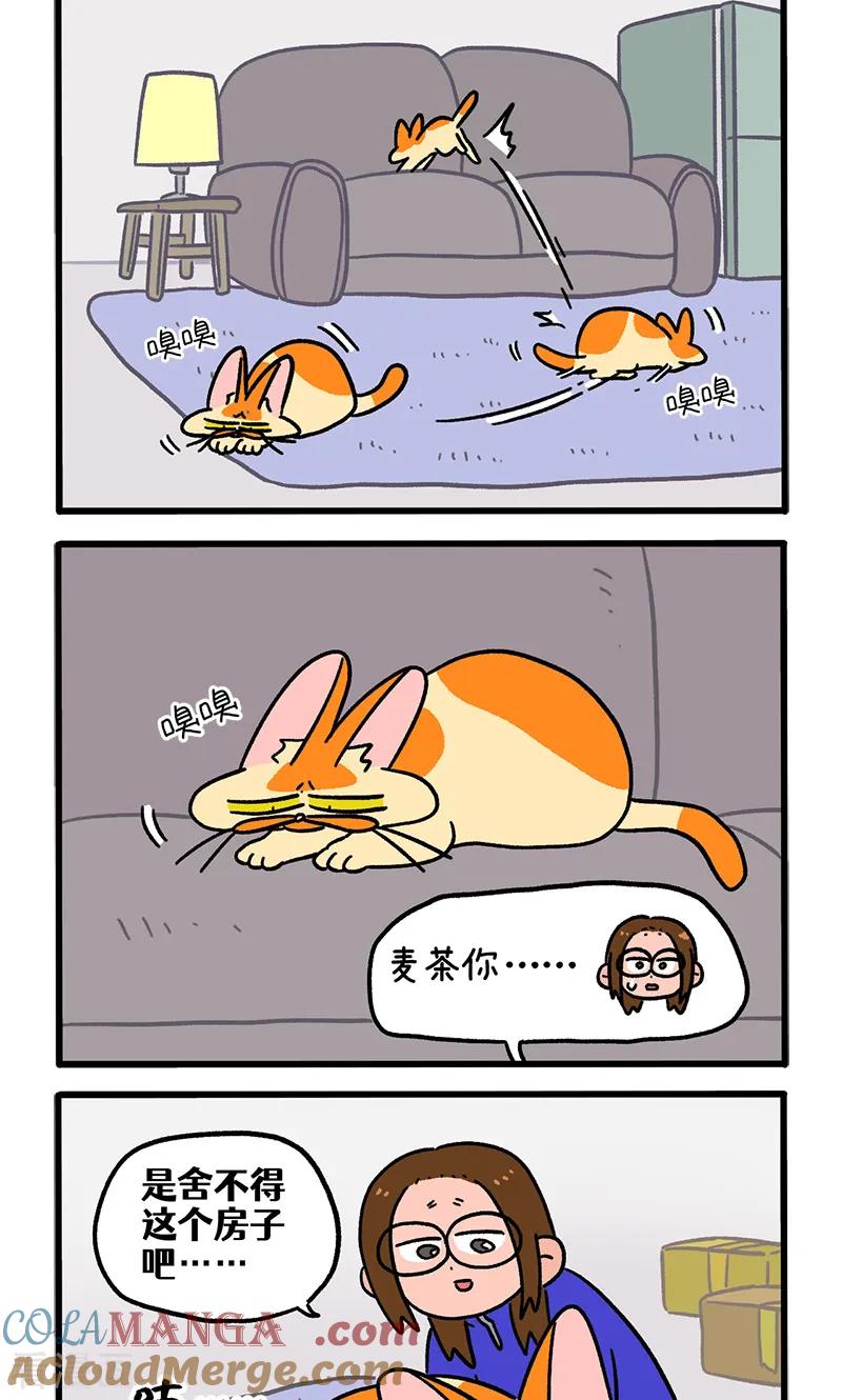 第138话2再见第一个家-阿满和麦茶-新漫画 日胖大海寺（第2张）