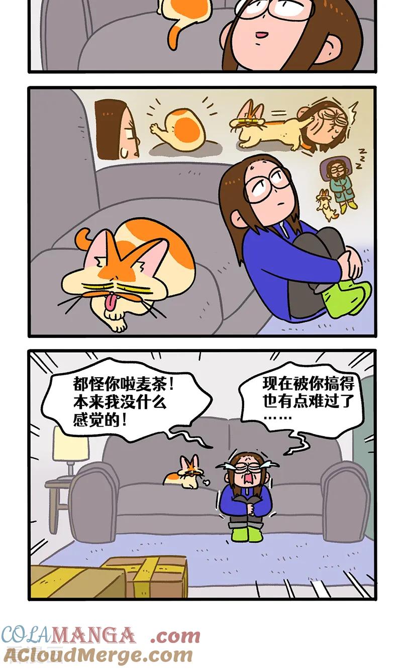 第138话2再见第一个家-阿满和麦茶-新漫画 日胖大海寺（第4张）