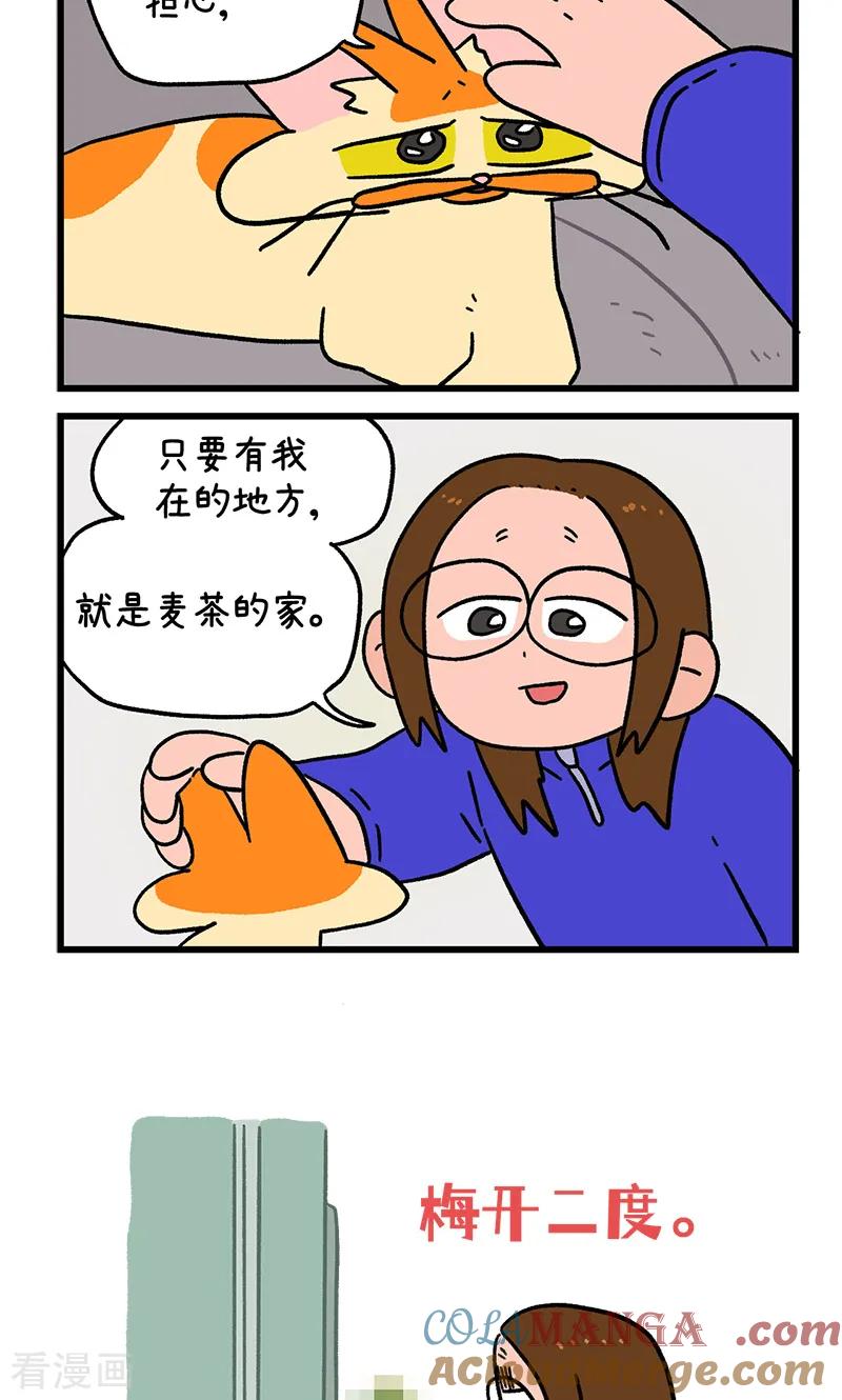 第138话2再见第一个家-阿满和麦茶-新漫画 日胖大海寺（第6张）