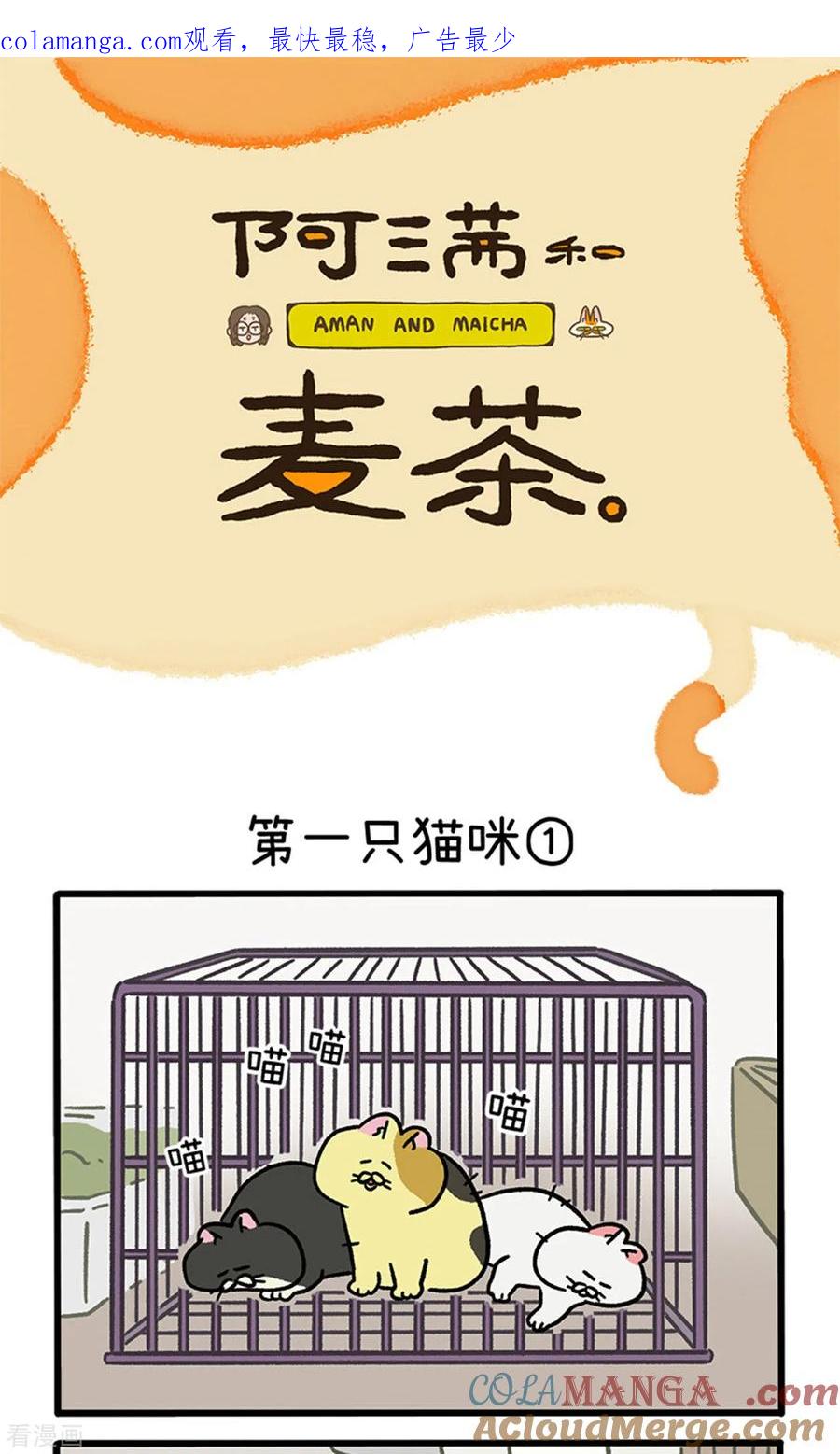 第139话1第一只猫咪-阿满和麦茶-新漫画 日胖大海寺（第1张）