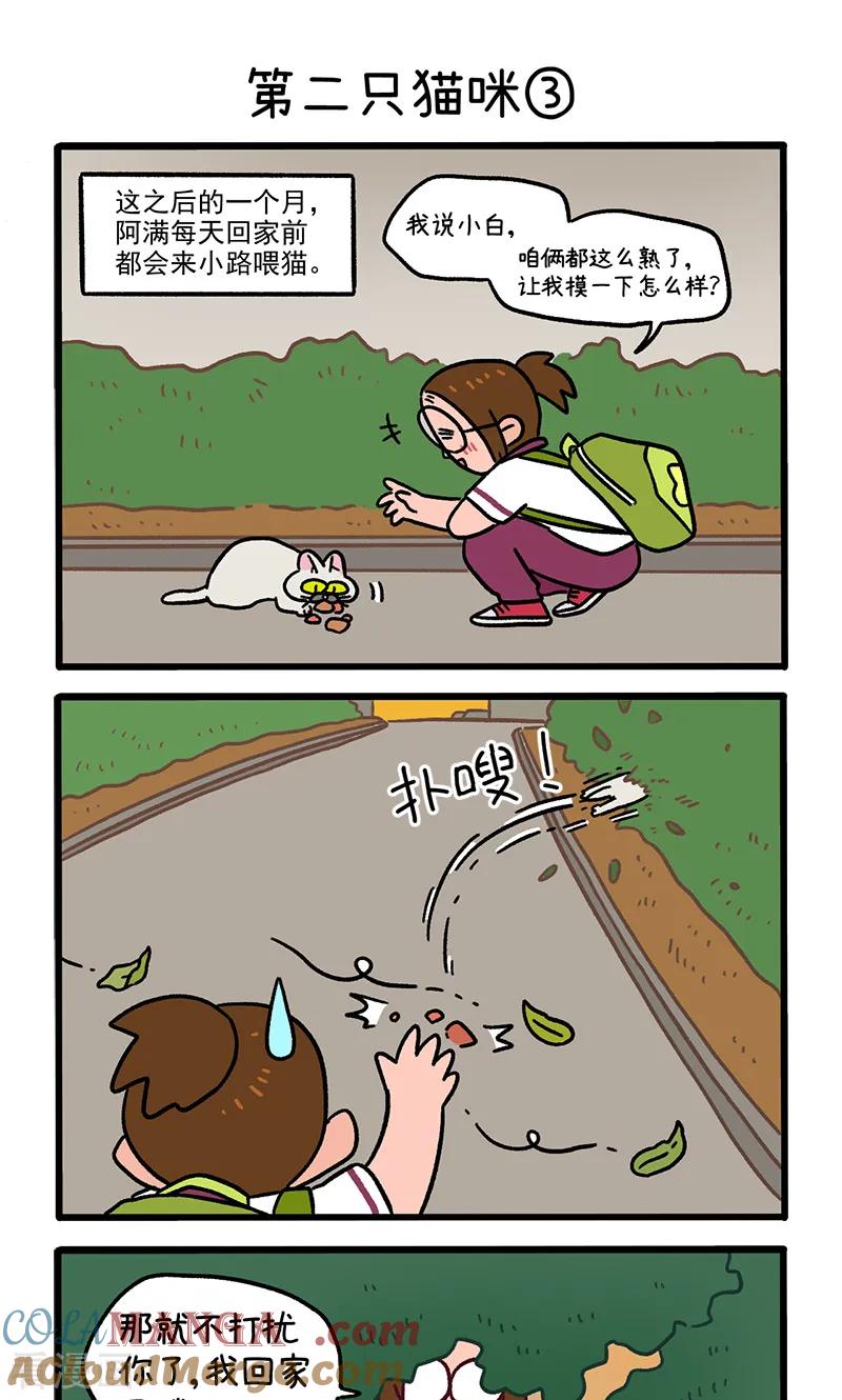 第140话1第二只猫咪-阿满和麦茶-新漫画 日胖大海寺（第5张）